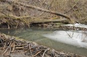 DSC_0005.JPG