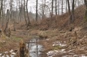 DSC_0007.JPG