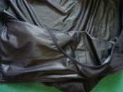 DSC05642.JPG