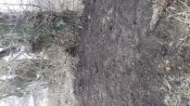 20180203_150649.jpg