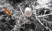 20180204_111913.jpg
