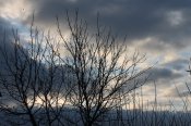 IMG_2771.JPG