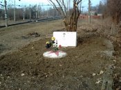 PICT0008.jpg