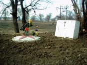 PICT0010.jpg