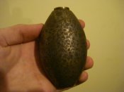 DSC06686.JPG