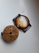 20180206_110113.jpg
