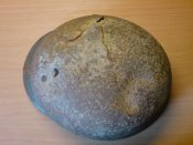 DSC00097.jpg