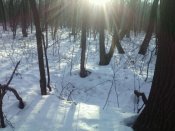 IMG_20180206_083551.jpg