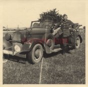 19. Panzer Div. Frankreich.jpg