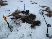 IMG_20180206_140201.jpg