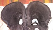 IMG_20180206_214344.jpg