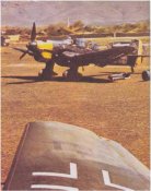 ju_87_at_rest.jpg