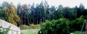 P60800091.JPG