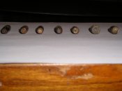 P1010011-1.jpg