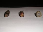 P1010005-1.jpg