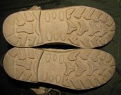 IMG_2347.jpg