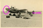 JG6.jpg