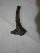 Курок Лебель