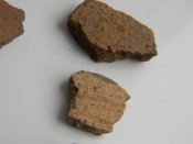 DSCN9704.JPG