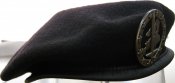 Panzerpionierkompanie Deutsch-Franzosische Brigade Eurocorps.jpg