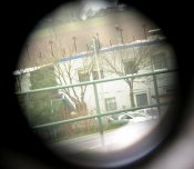 IMG_2291.jpg
