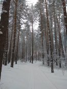 IMG_20180211_115117.jpg