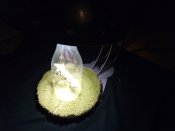 IMG_20180131_192338.jpg