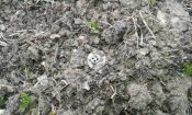 20180211_103649.jpg