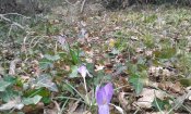 20180211_115955.jpg