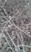20180211_131505.jpg
