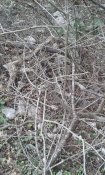 20180211_131512.jpg