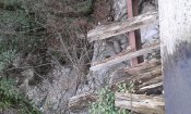 20180211_132240.jpg