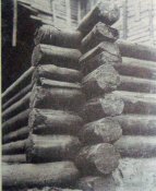 srub-10-v-podol-raskopki-1972g.jpg