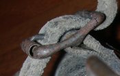 DSCN8510.JPG