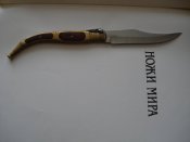 DSC00550.JPG