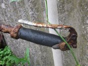 IMG_4241.jpg