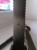 040420124139.jpg