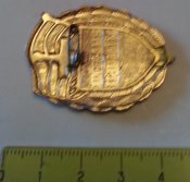 нагрудный/должностной знак отличник милиции