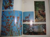 DSC05890.JPG