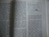 DSC05892.JPG