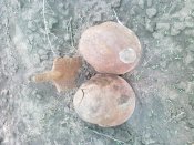 Изображение 030.jpg