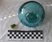Ampula white 2-2.JPG