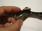 IMG_20180216_223959.jpg