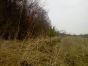 PIC-0074.jpg