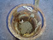 IMG_20180219_064701.jpg