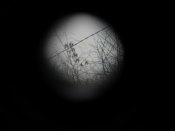 вопросы 130.jpg