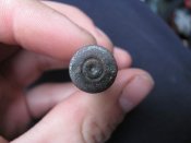 IMG_1162_thumb.jpg