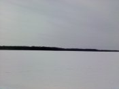 IMG_20180218_130338.jpg