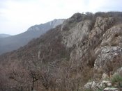 DSC01070.jpg