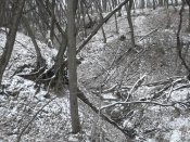 DSCF6417.JPG